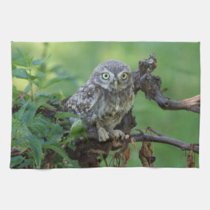 Athene noctua tea towel