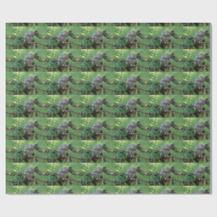 Athene noctua wrapping paper