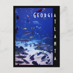Atlanta Aquarium, Georgia Postcard