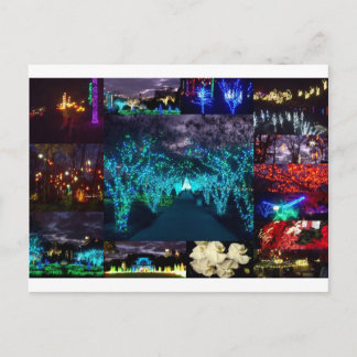 Atlanta Botanical Garden Lights Postcard
