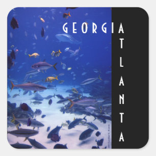 Atlanta Georgia Square Sticker