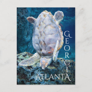 Atlanta Georgia Turtle Dive Postcard