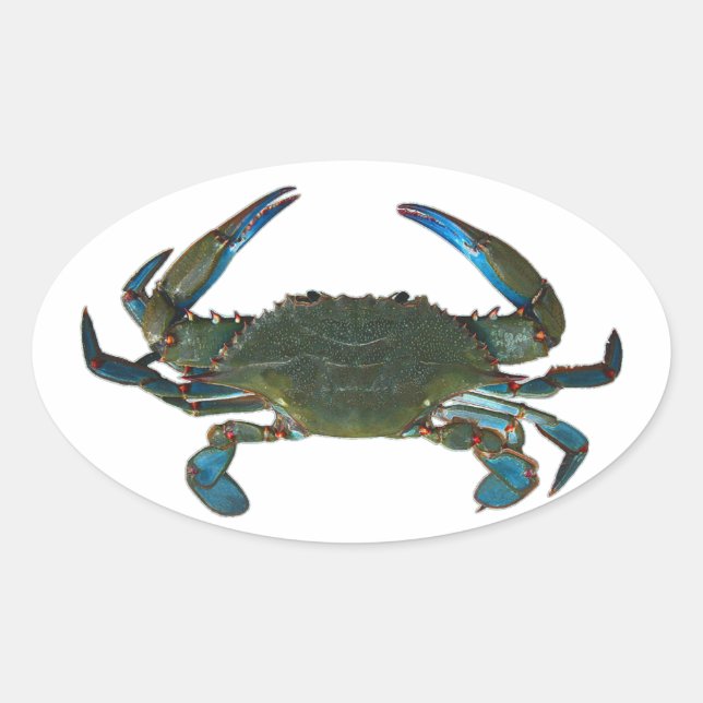 Atlantic Blue Crab Logo Oval Sticker (Front)