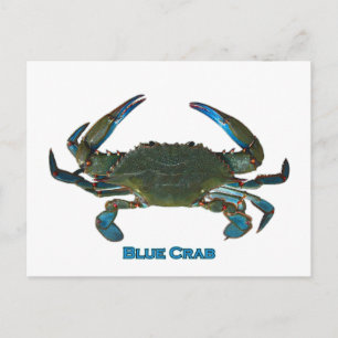 Atlantic Blue Crab Logo Postcard