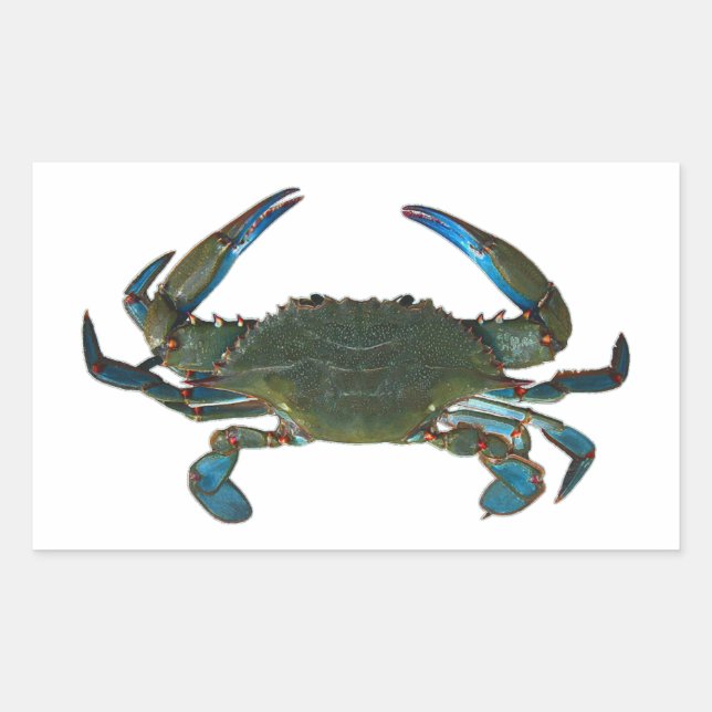 Atlantic Blue Crab Logo Rectangular Sticker (Front)