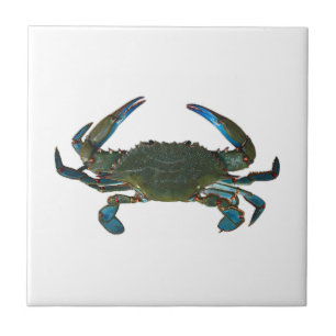 Atlantic Blue Crab Logo Tile