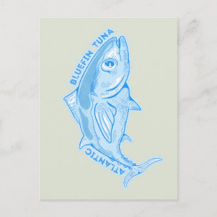 Atlantic bluefin tuna postcard
