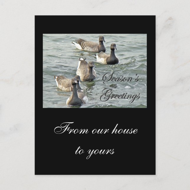 Atlantic Brant Geese Season's Greetings Series Holiday Postcard (Front)