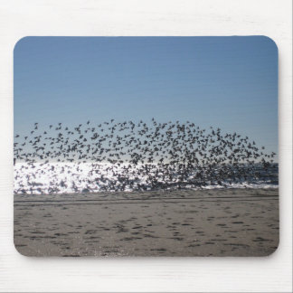 Atlantic City Beach Mouse Mat
