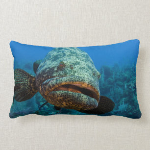 Atlantic Goliath Grouper Lumbar Cushion