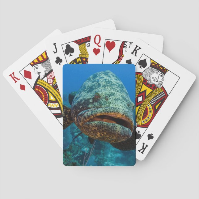 Atlantic Goliath Grouper Playing Cards (Back)