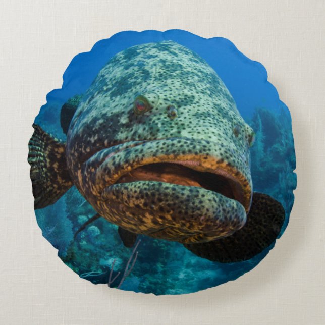 Atlantic Goliath Grouper Round Cushion (Front)