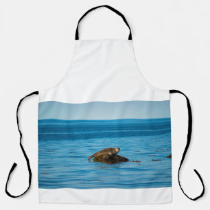 Atlantic Harbour Seal Apron