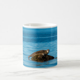 Atlantic Harbour Seal Coffee Mug