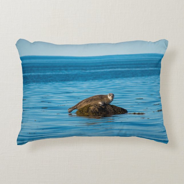 Atlantic Harbour Seal Decorative Cushion (Front)