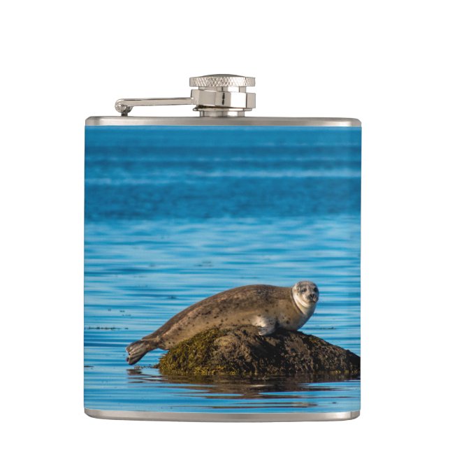 Atlantic Harbour Seal Hip Flask (Front)