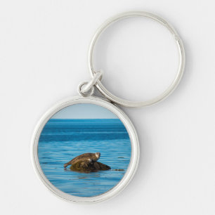 Atlantic Harbour Seal Key Ring