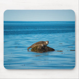 Atlantic Harbour Seal Mouse Mat
