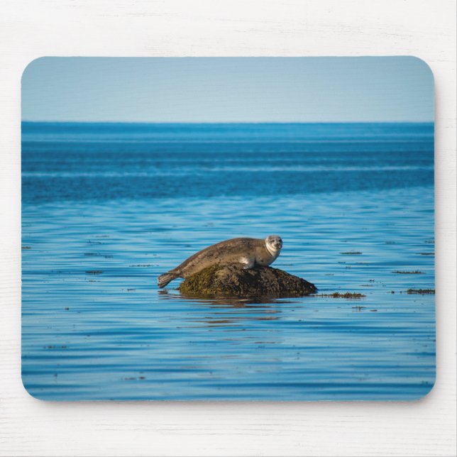 Atlantic Harbour Seal Mouse Mat (Front)