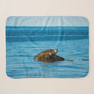 Atlantic Harbour Seal Sherpa Blanket