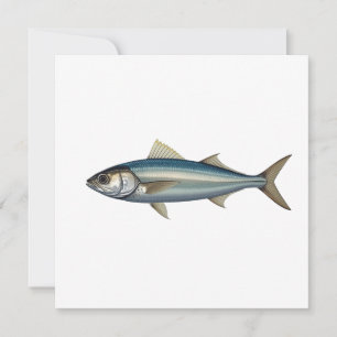 Atlantic mackerel. invitation