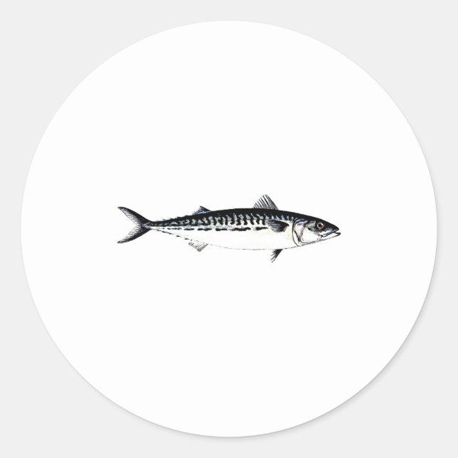 Atlantic Mackerel Logo Classic Round Sticker (Front)