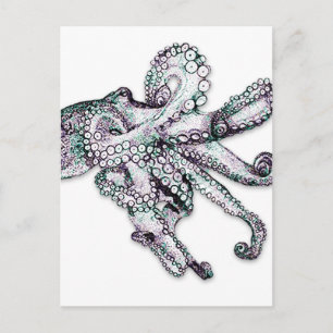 Atlantic Octopus Postcard