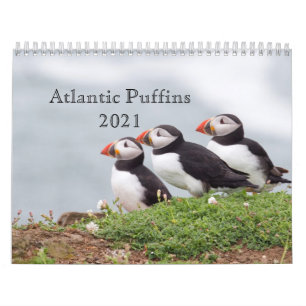 Atlantic Puffin Calendar 2021