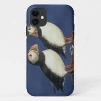 Atlantic Puffin