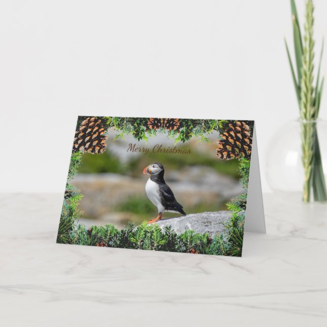 Atlantic Puffin Christmas Card (Front)