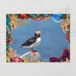 Atlantic Puffin Christmas Card