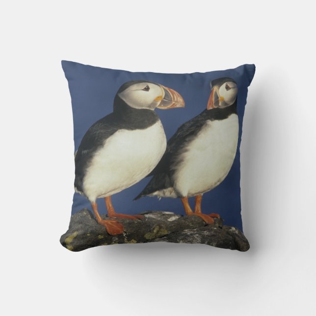Atlantic Puffin Cushion (Front)