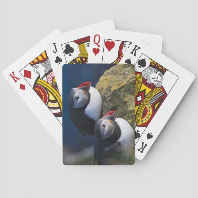Atlantic Puffin (Fratercula arctica) 7 Playing Cards (Back)