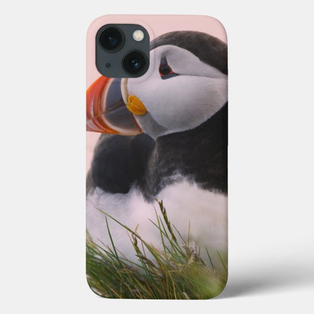 Atlantic Puffin (Fratercula arctica) Case-Mate iPhone Case (Back)