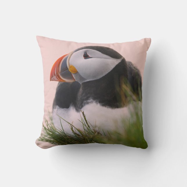 Atlantic Puffin (Fratercula arctica) Cushion (Front)