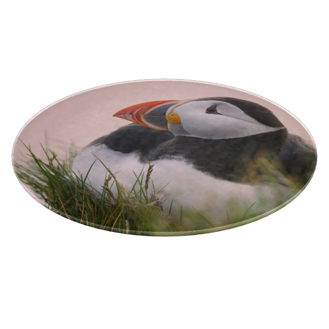 Atlantic Puffin (Fratercula arctica) Cutting Board (Corner)