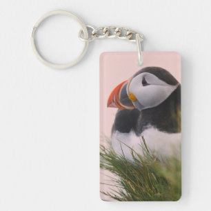 Atlantic Puffin (Fratercula arctica) Key Ring