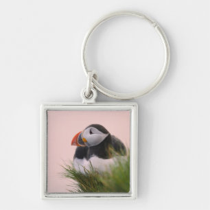 Atlantic Puffin (Fratercula arctica) Key Ring