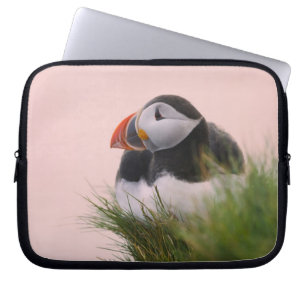Atlantic Puffin (Fratercula arctica) Laptop Sleeve
