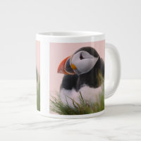 Atlantic Puffin (Fratercula arctica)