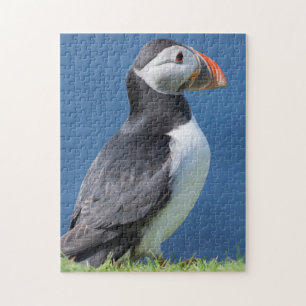 Atlantic Puffin (Fratercula Arctica) On Cliff Jigsaw Puzzle