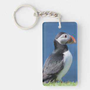 Atlantic Puffin (Fratercula Arctica) On Cliff Key Ring