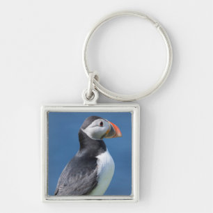 Atlantic Puffin (Fratercula Arctica) On Cliff Key Ring