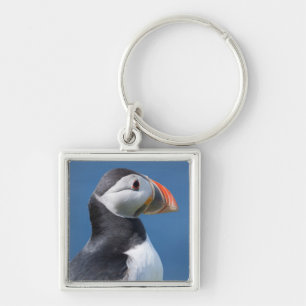 Atlantic Puffin (Fratercula Arctica) On Cliff Key Ring