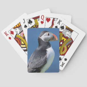 Atlantic Puffin (Fratercula Arctica) On Cliff Playing Cards