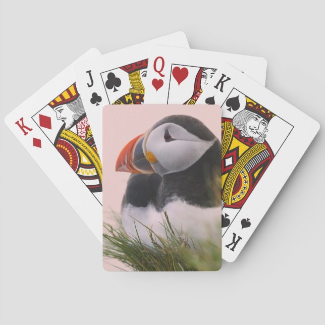 Atlantic Puffin (Fratercula arctica) Playing Cards (Back)
