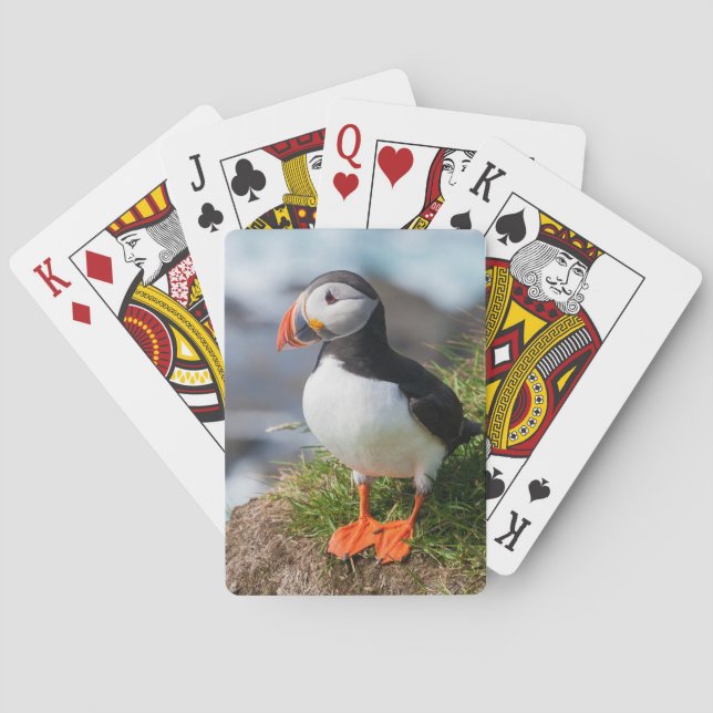Atlantic Puffin Fratercula Arctica Playing Cards (Back)