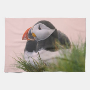 Atlantic Puffin (Fratercula arctica) Tea Towel