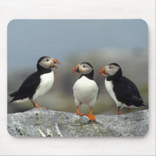 Atlantic Puffin Group Mouse Mat