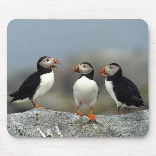 Atlantic Puffin Group Mouse Mat (Front)